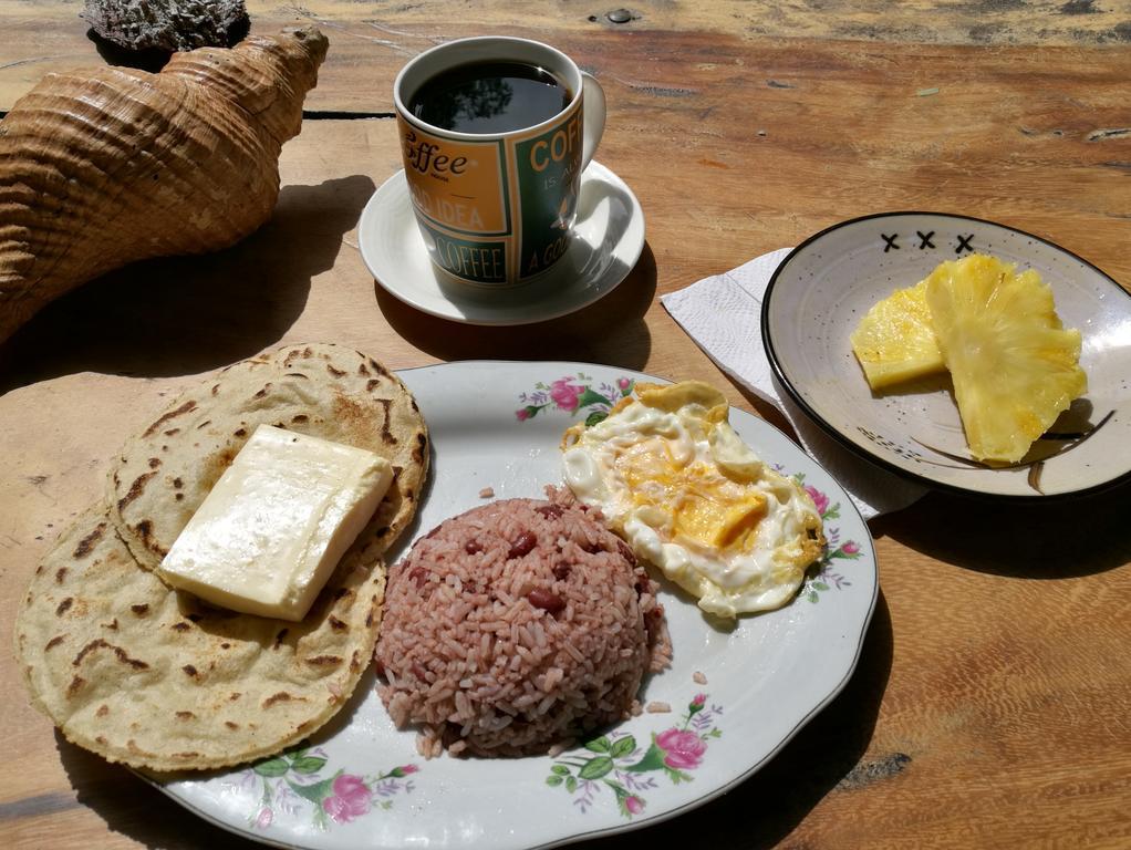 Congos Hostal Y Camping ปลายาเฮอร์โมซา ภายนอก รูปภาพ